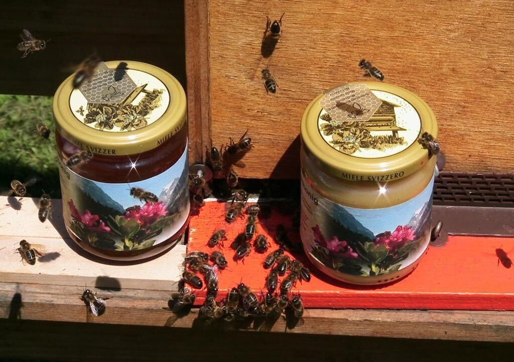 Photo of Others in Glarus Sued