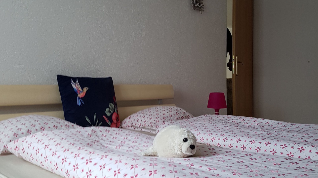 Photo of Bedroom in Glarus Sued