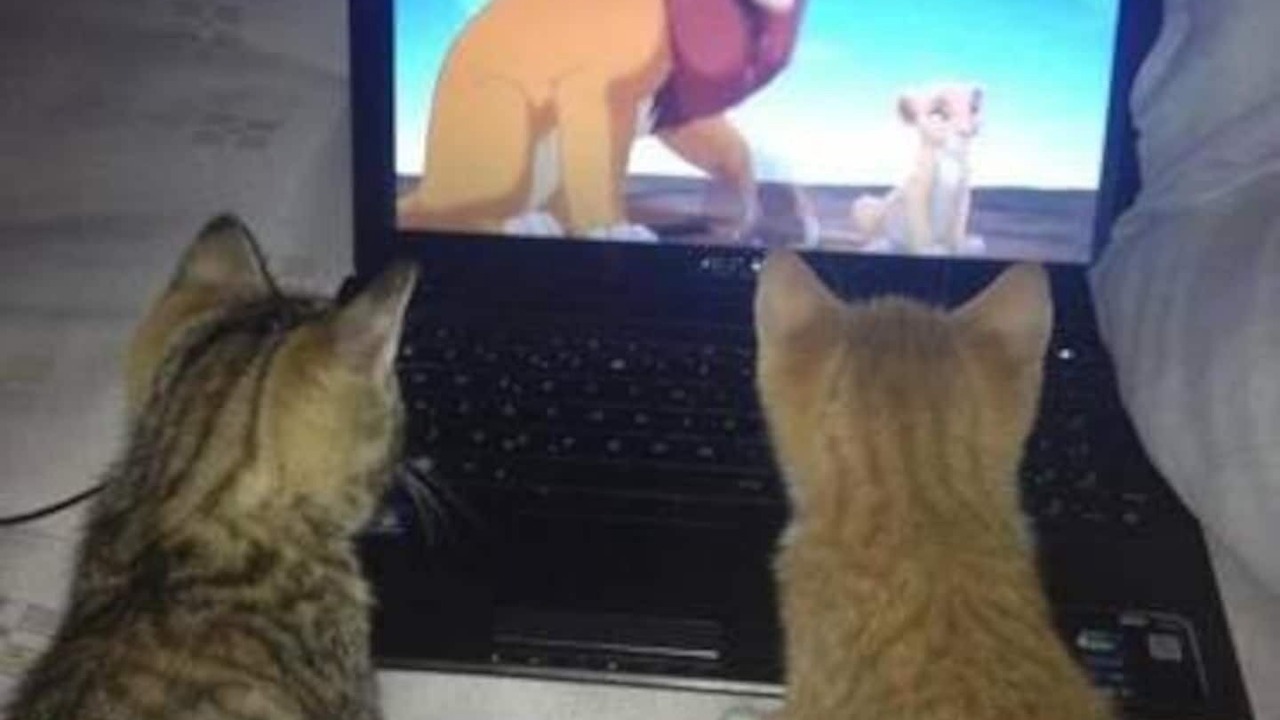 Photo of Others in Glarus Sued