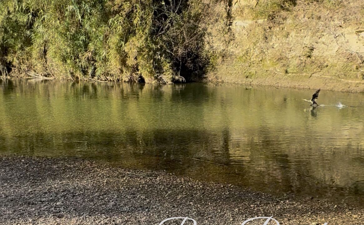 Photo of Others in Bagnols-sur-Ceze