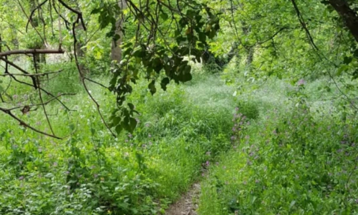 Photo of Others in Bagnols-sur-Ceze