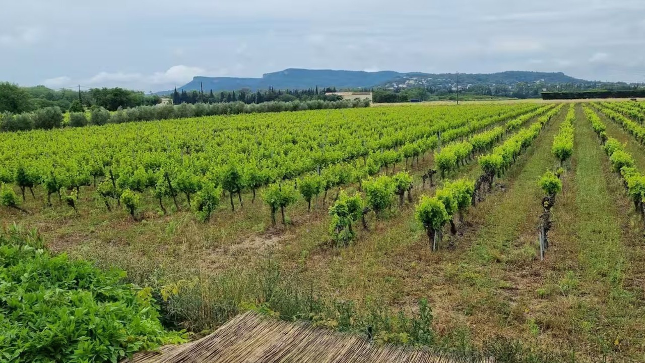 Photo of Others in Bagnols-sur-Ceze
