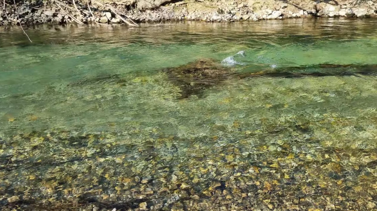 Photo of Others in Bagnols-sur-Ceze