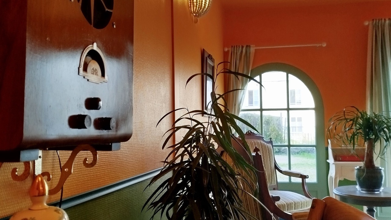 Photo of Others in Montreuil-Bellay