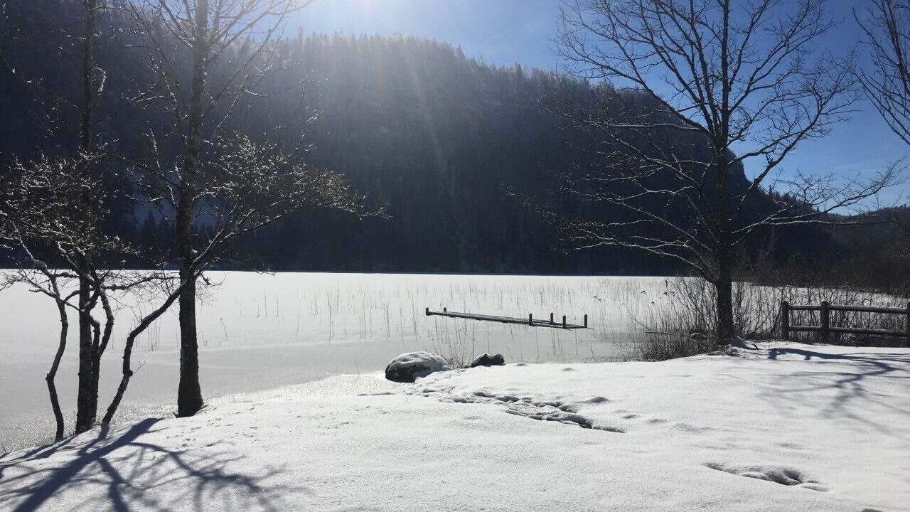 Photo of Others in Le Frasnois