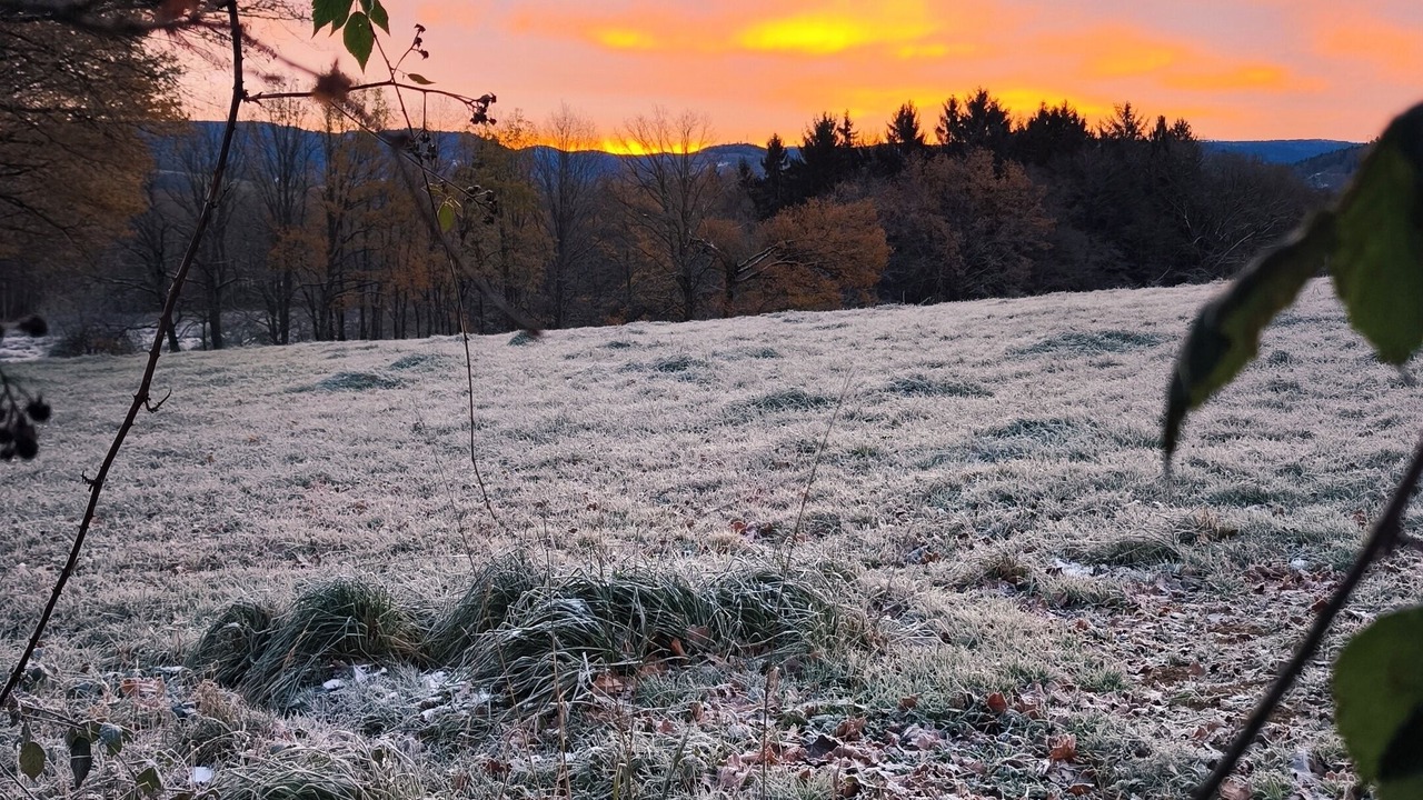 Photo of Others in Anould