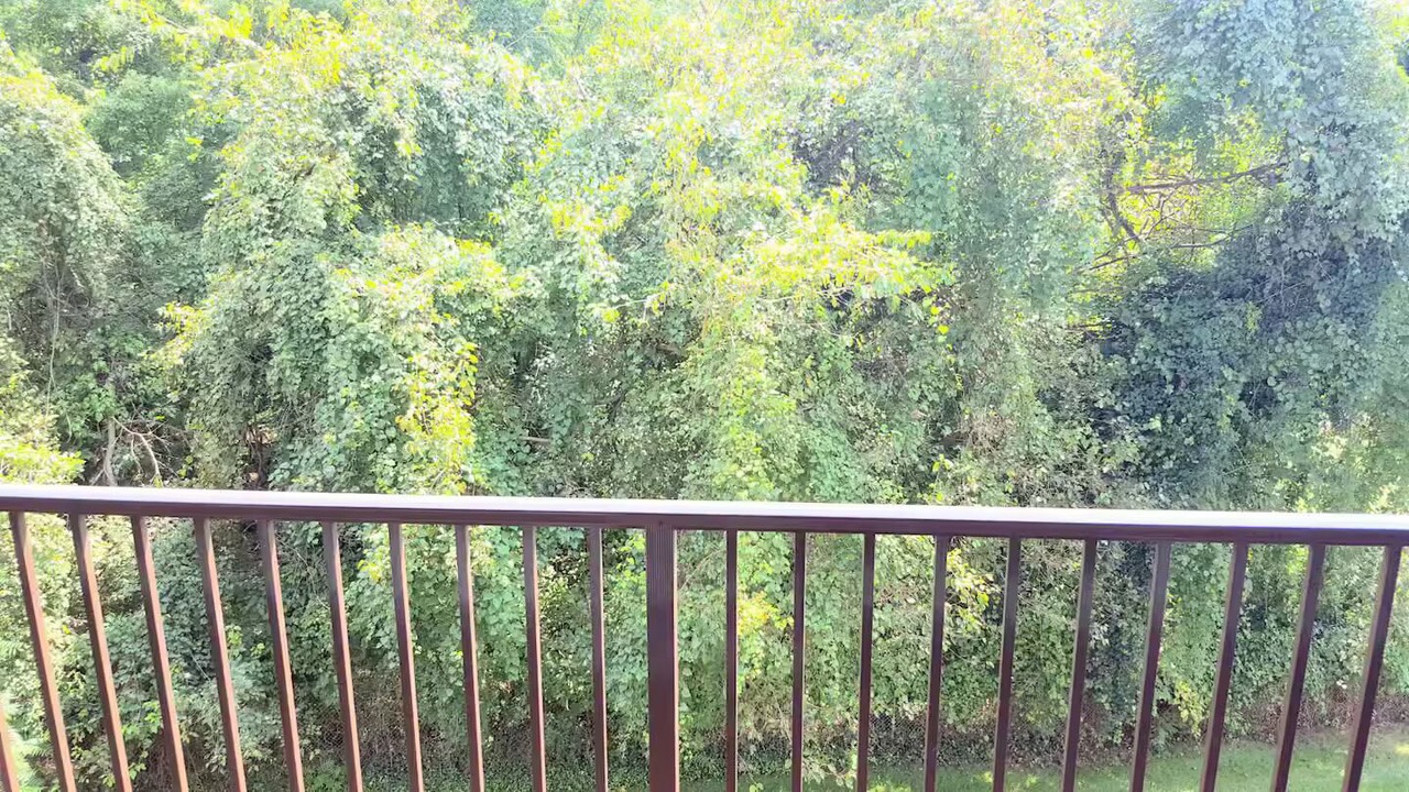 Photo of Outdoor in Oxon Hill-Glassmanor
