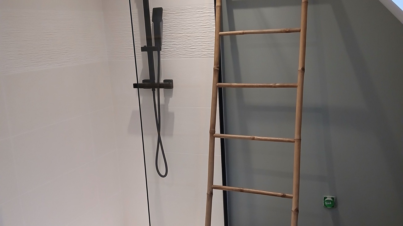 Photo of Bathroom in Saint-Laurent-de-Lin