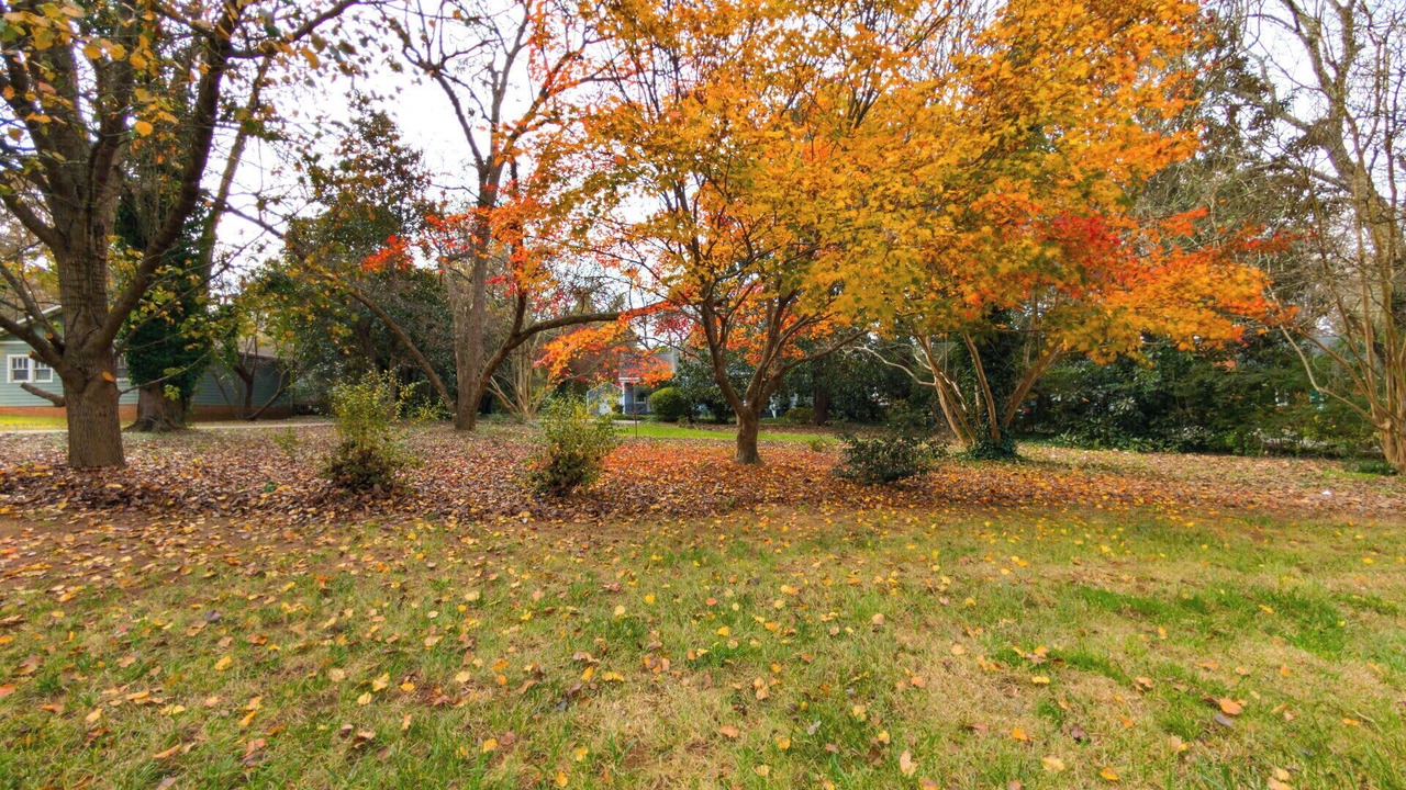 Photo of Outdoor in East Raleigh