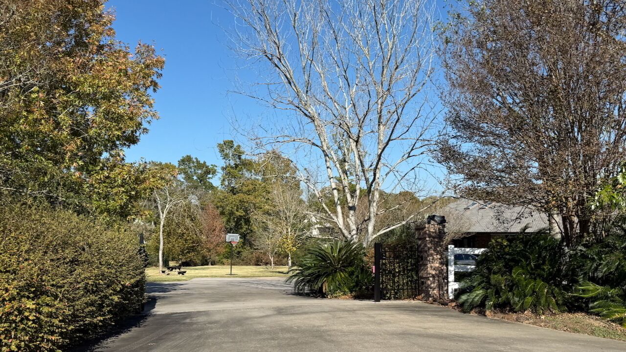 Photo of Outdoor in West Livingston