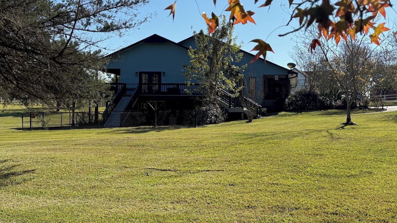 Photo of Outdoor in West Livingston