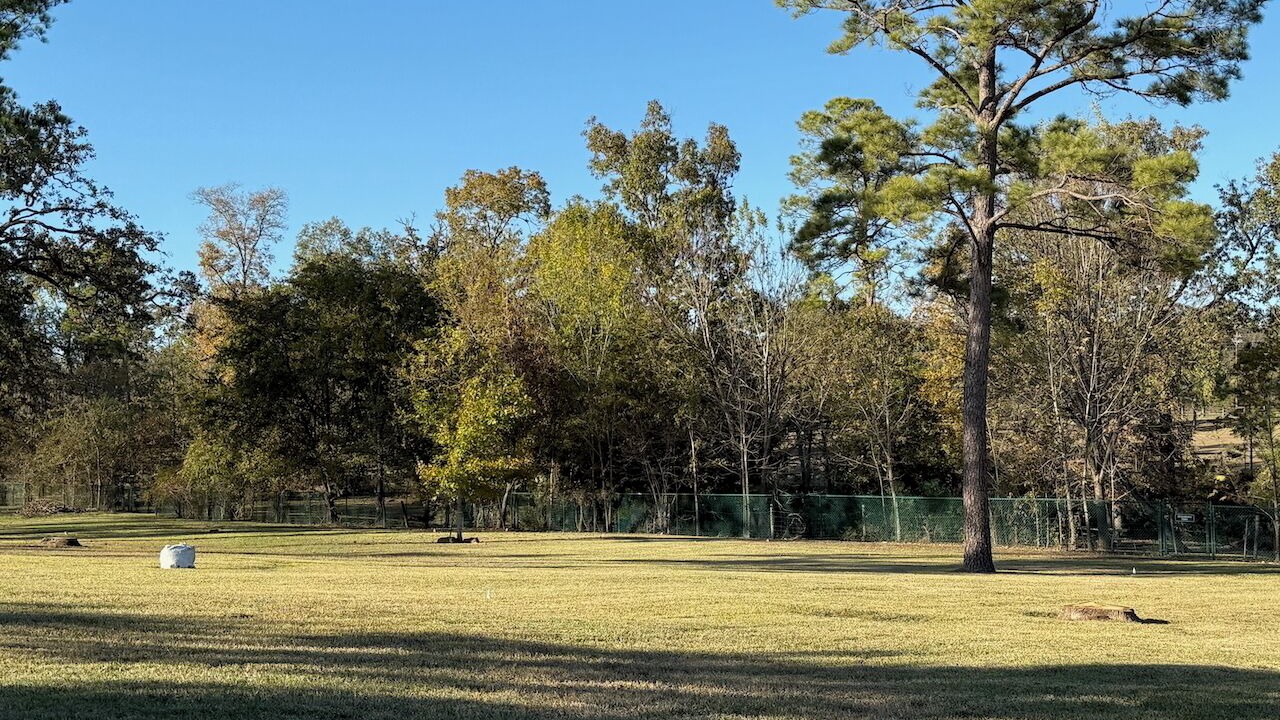 Photo of Others in West Livingston