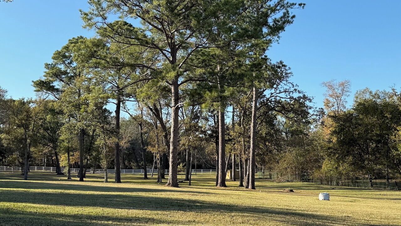 Photo of Others in West Livingston