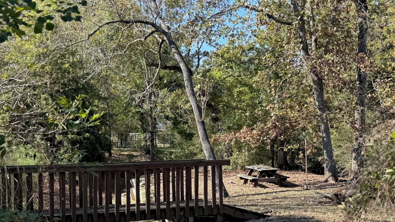 Photo of Outdoor in West Livingston
