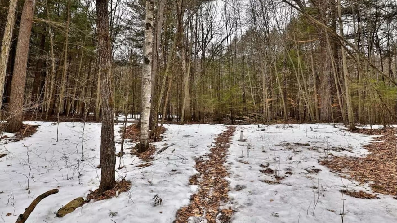 Photo of Others in Diamond Point