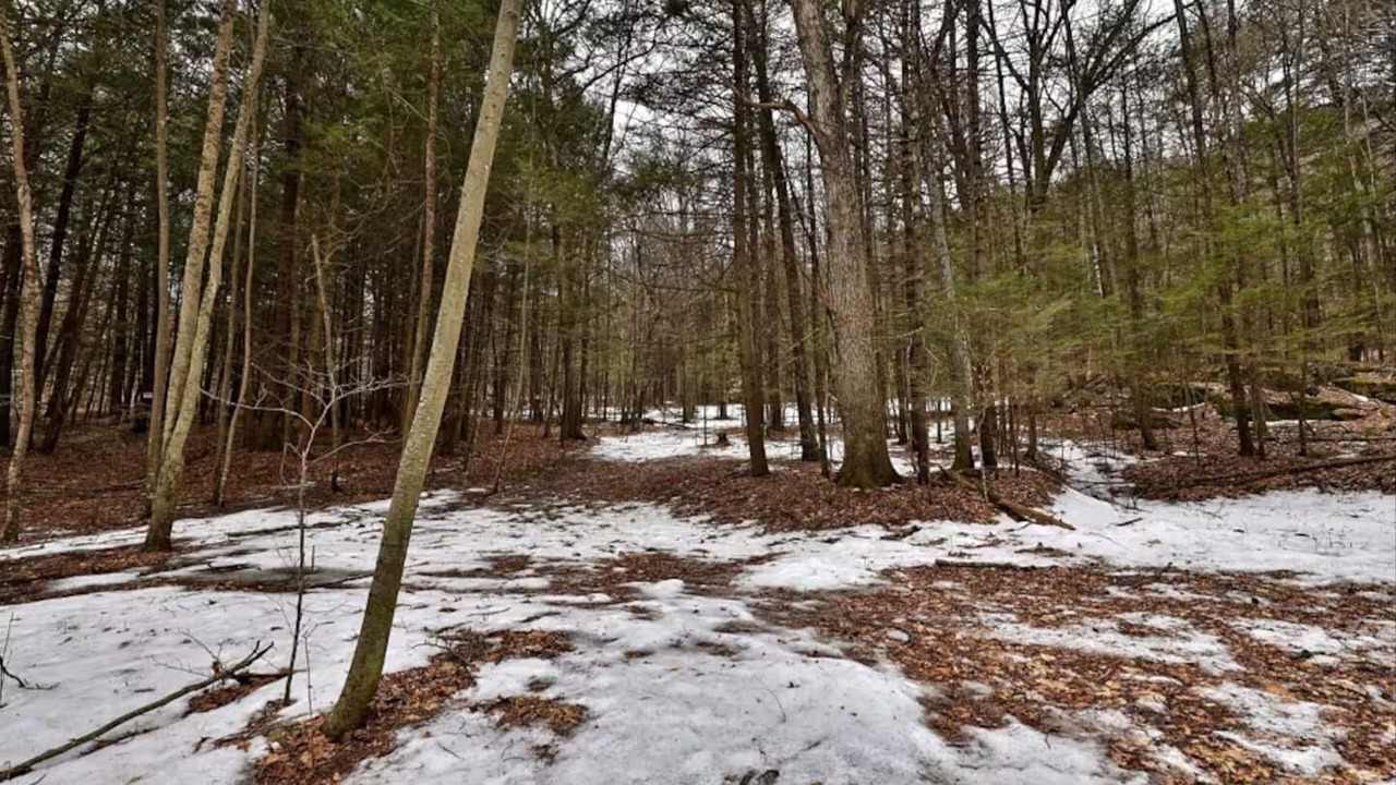 Photo of Others in Diamond Point