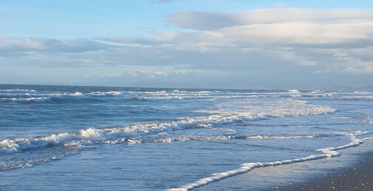 Photo of Others in Waiotahi