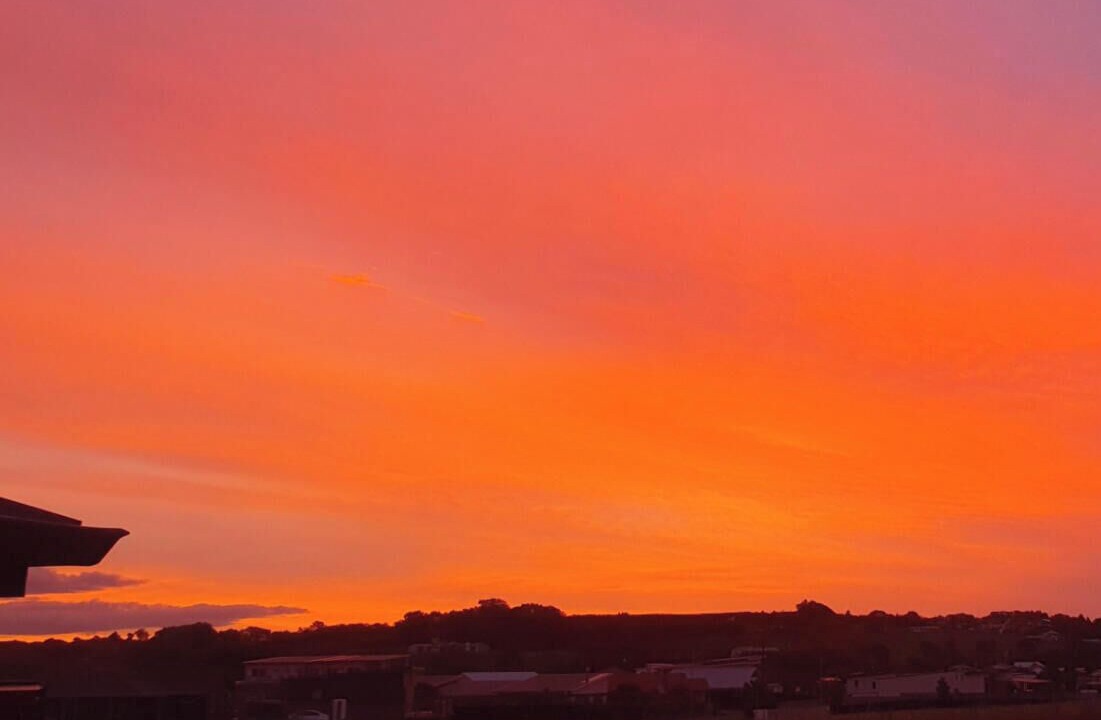 Photo of Others in Waiotahi