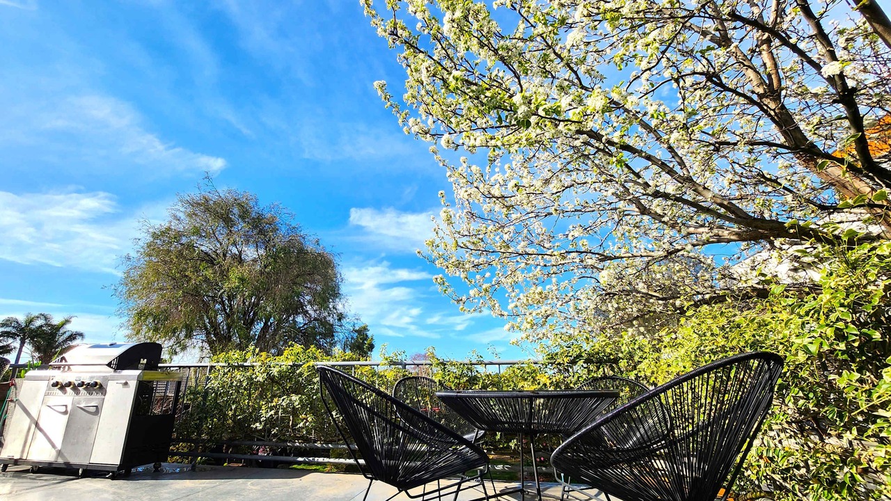 Photo of Outdoor in Highett