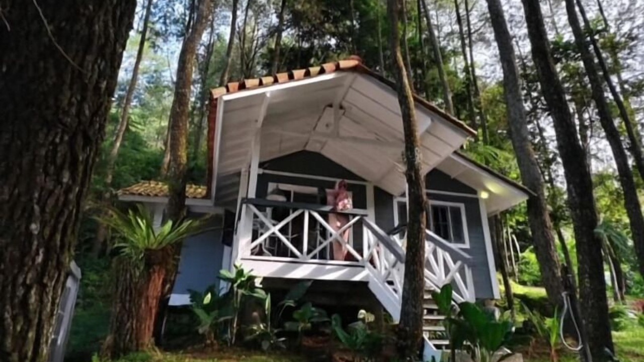 Photo of Bedroom in Megamendung