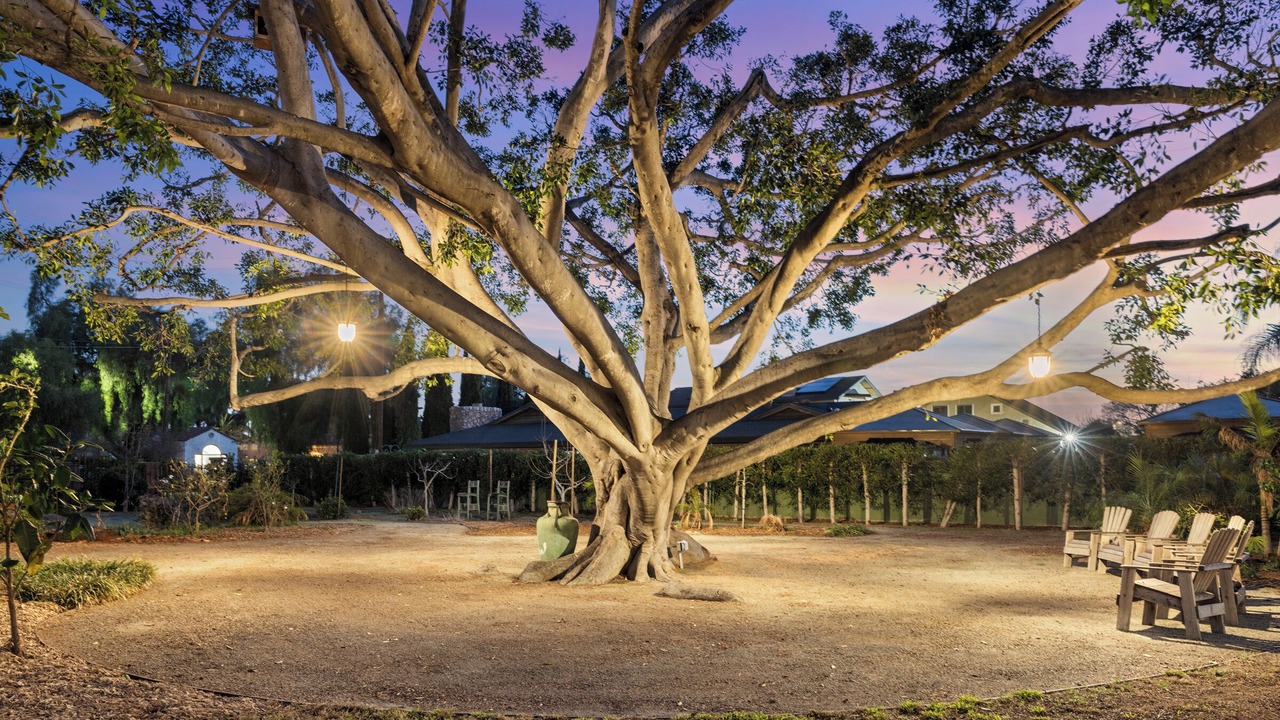 Photo of Outdoor in Lincoln Acres
