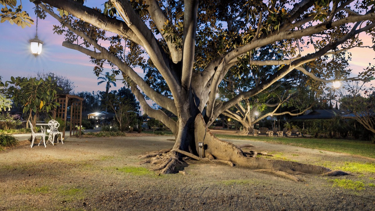 Photo of Outdoor in Lincoln Acres