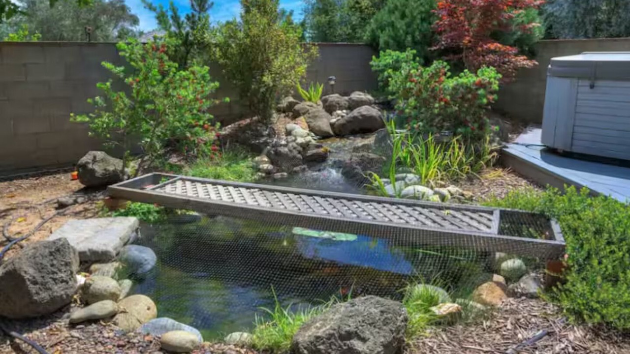 Photo of Others in Orangevale