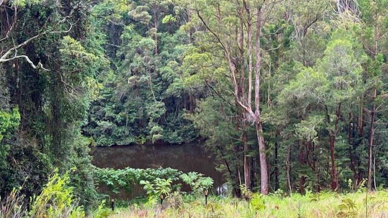 Photo of Others in Lower Beechmont