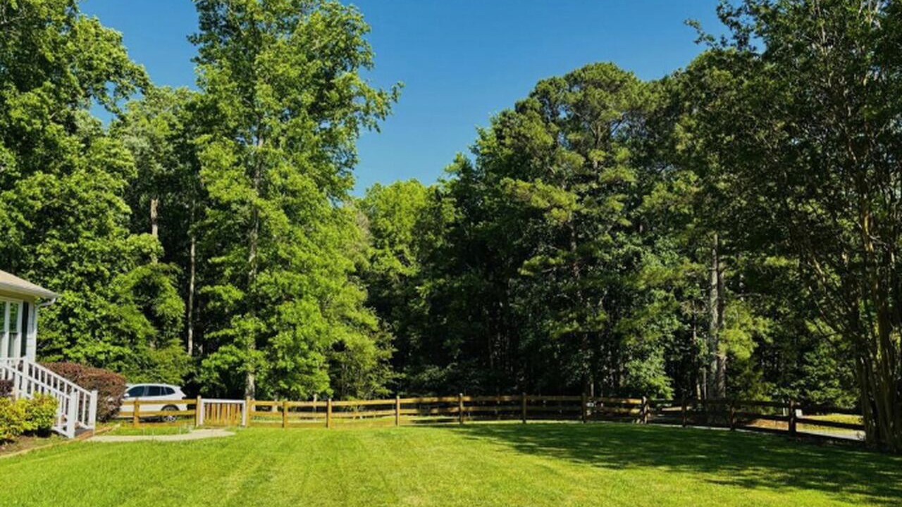 Photo of Outdoor in Raleigh