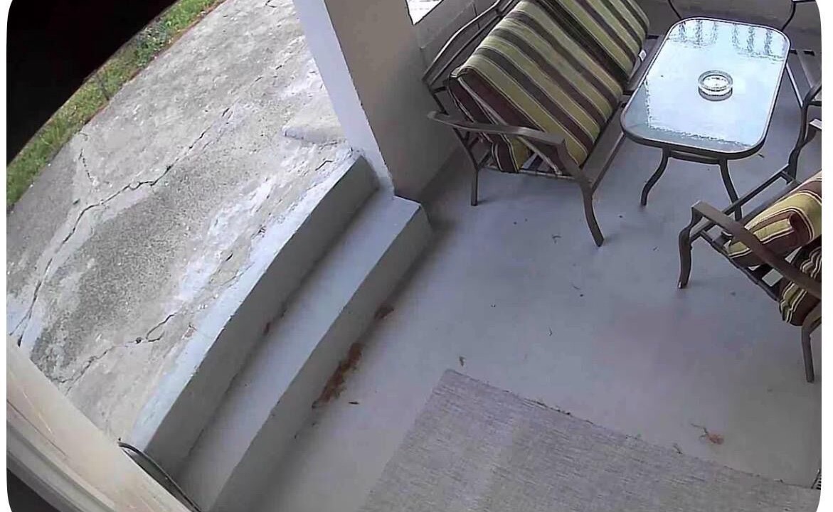 Photo of Patio Balcony in Throgs Neck