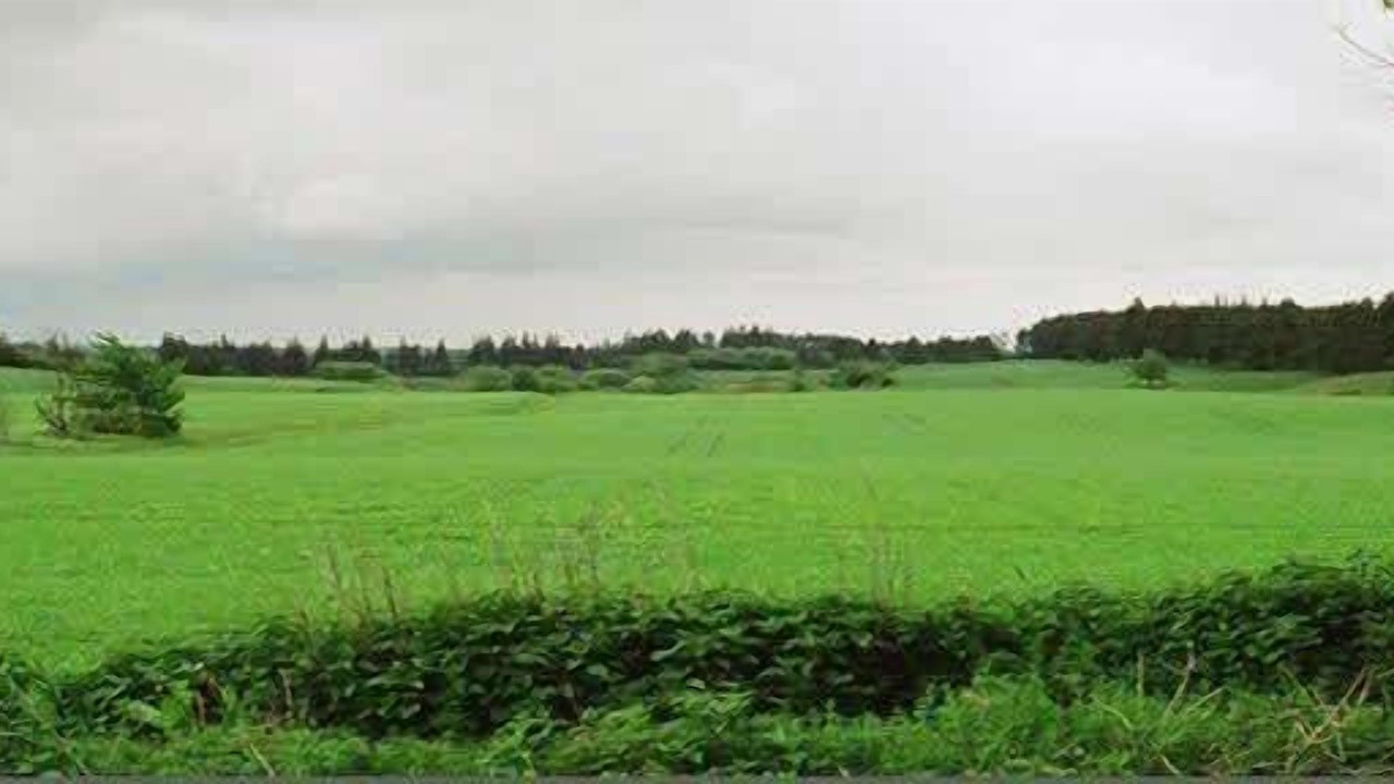 Photo of Others in Nibe