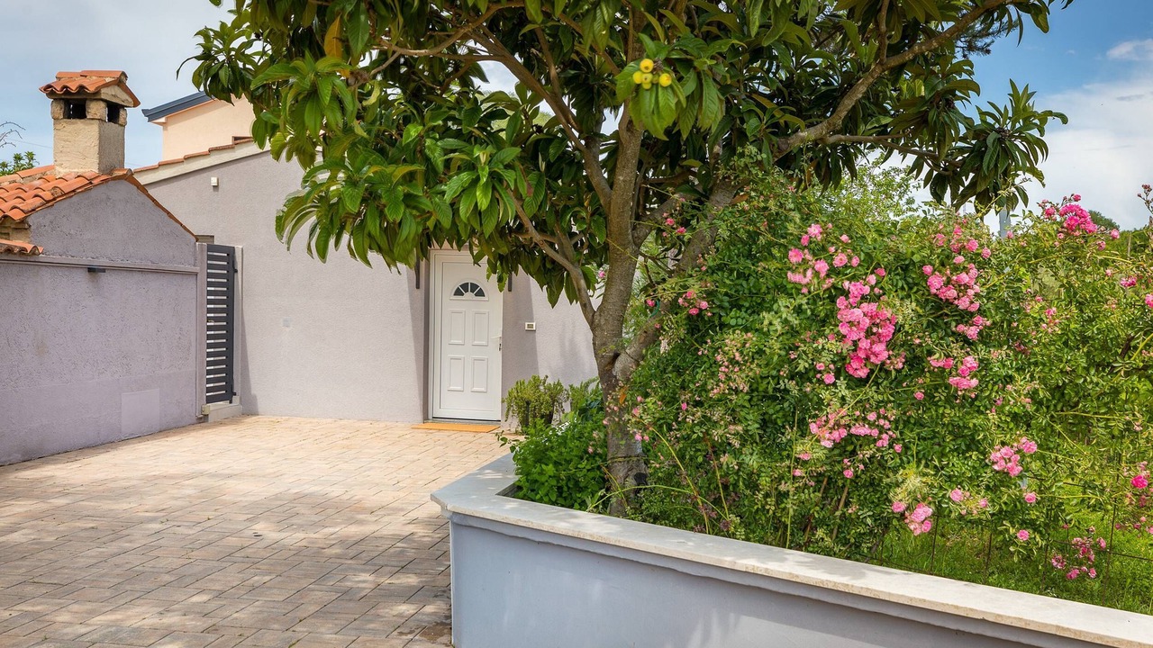 Photo of Outdoor in Musalez
