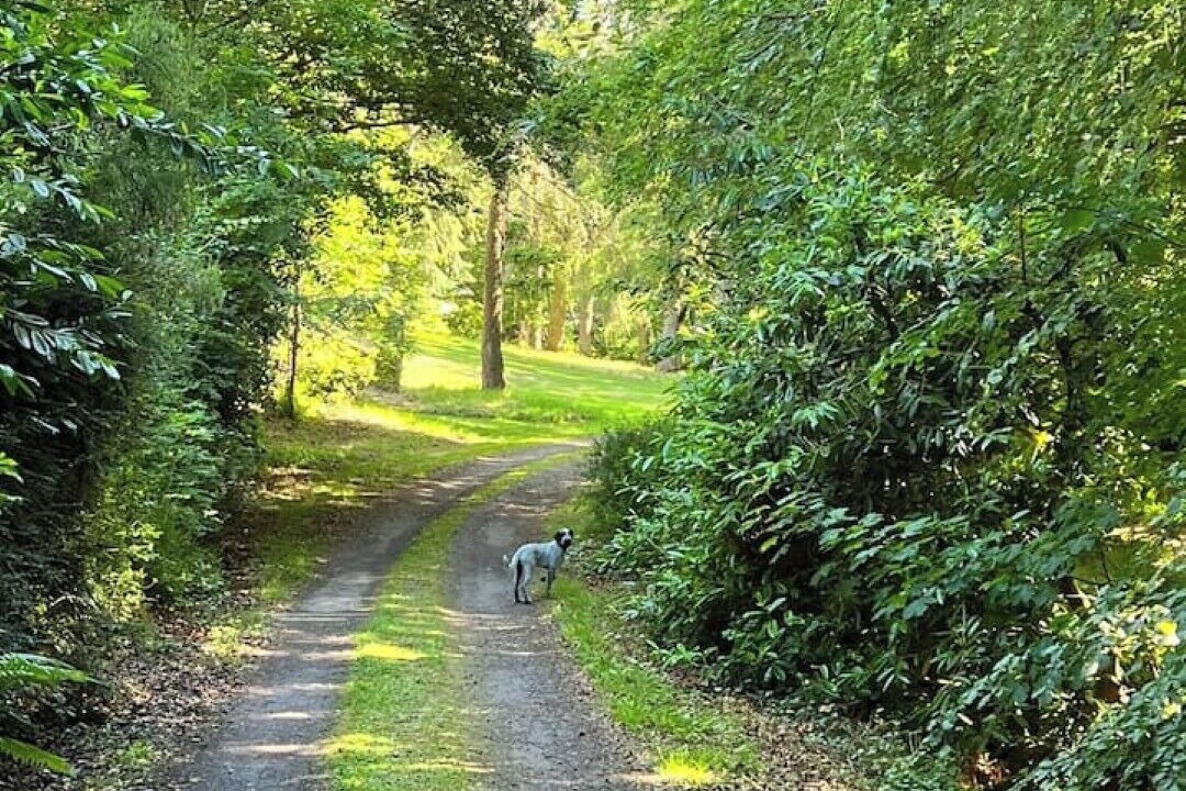 Photo of Others in Elgin