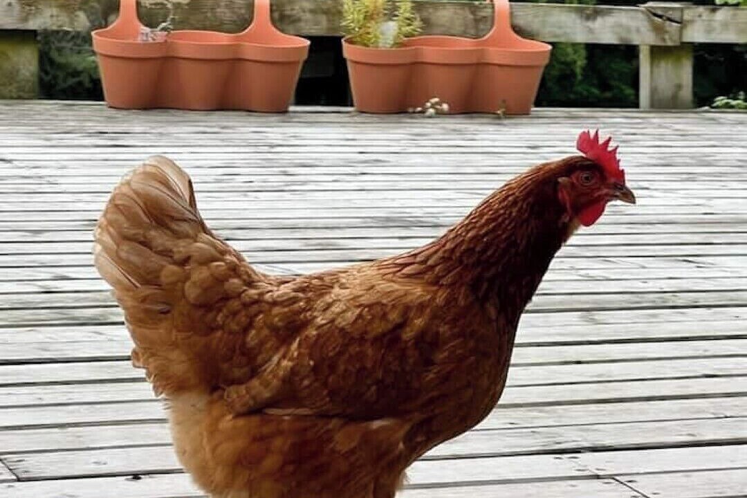 Photo of Others in Elgin