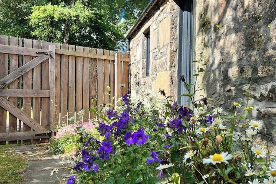 Photo of Outdoor in Elgin