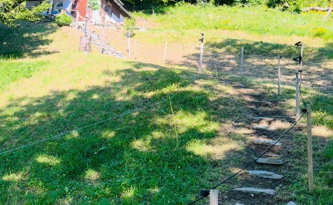 Photo of Outdoor in Pizol