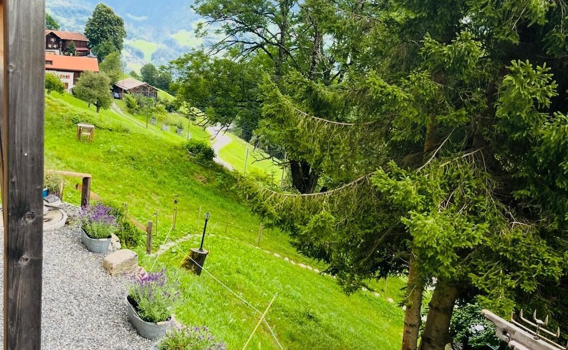Photo of Outdoor in Pizol