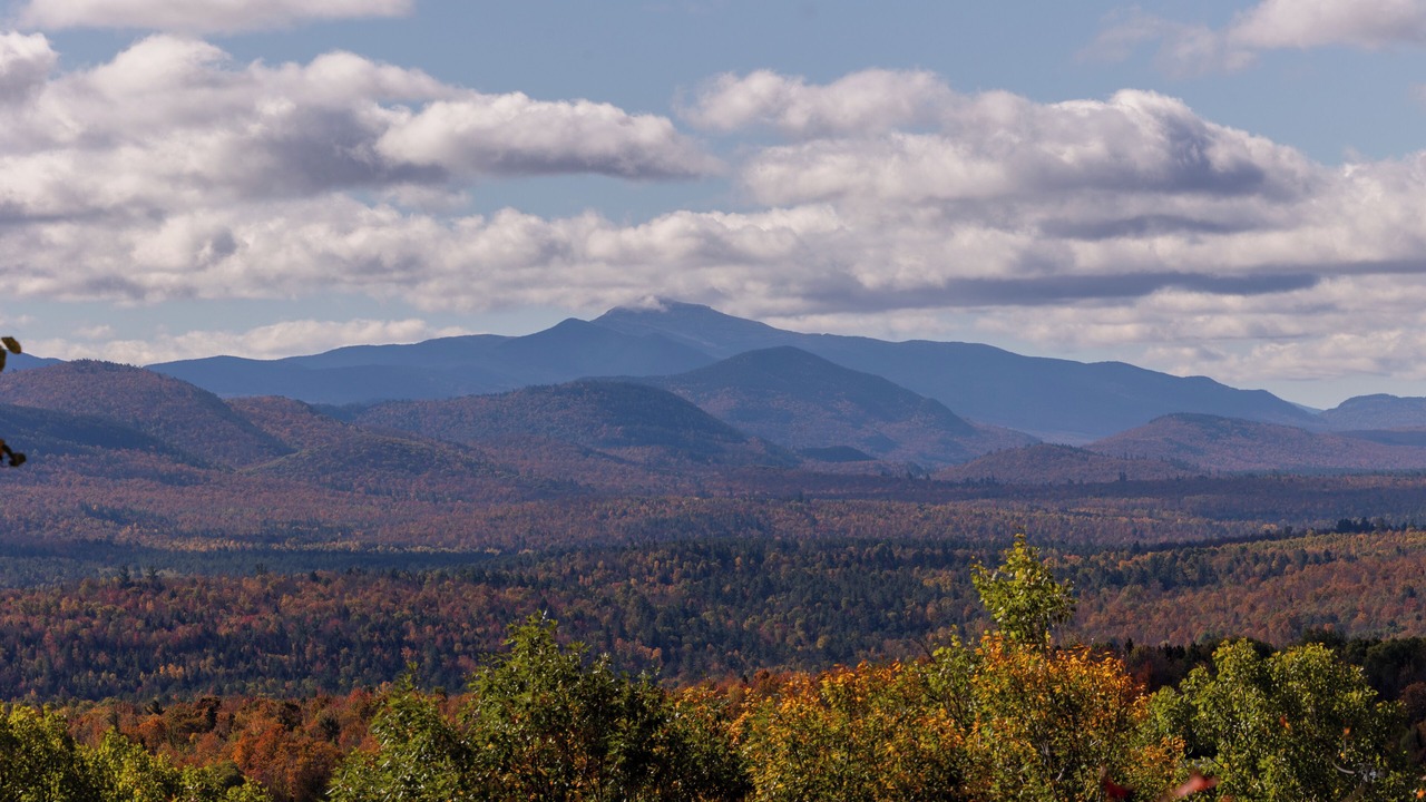 Photo of Others in Saranac