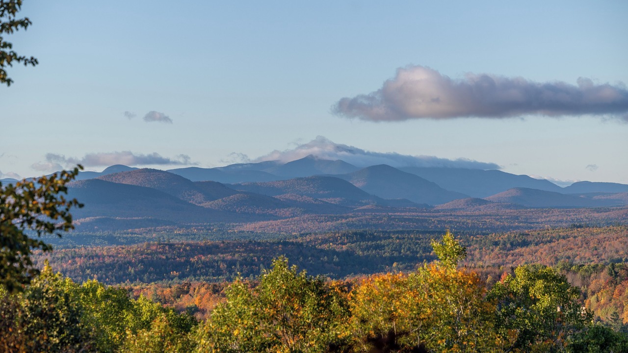Photo of Others in Saranac