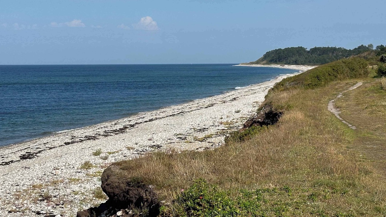 Photo of Others in Klint