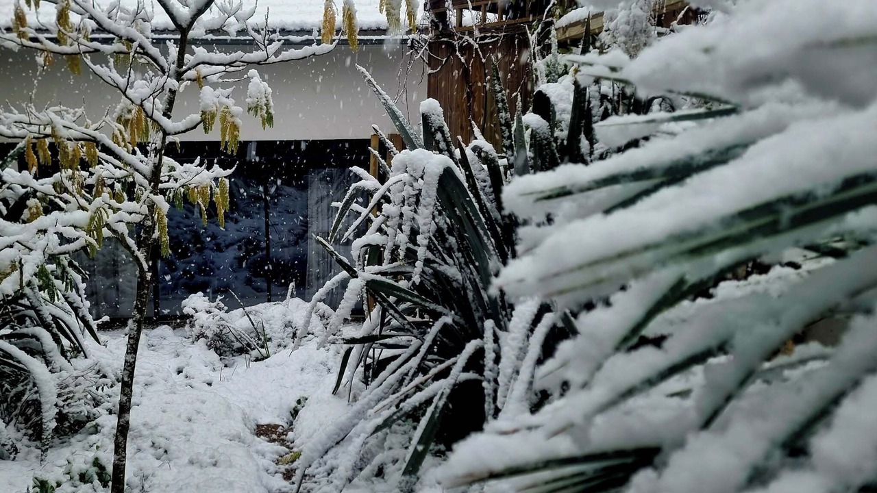 Photo of Outdoor in Saint-Prix