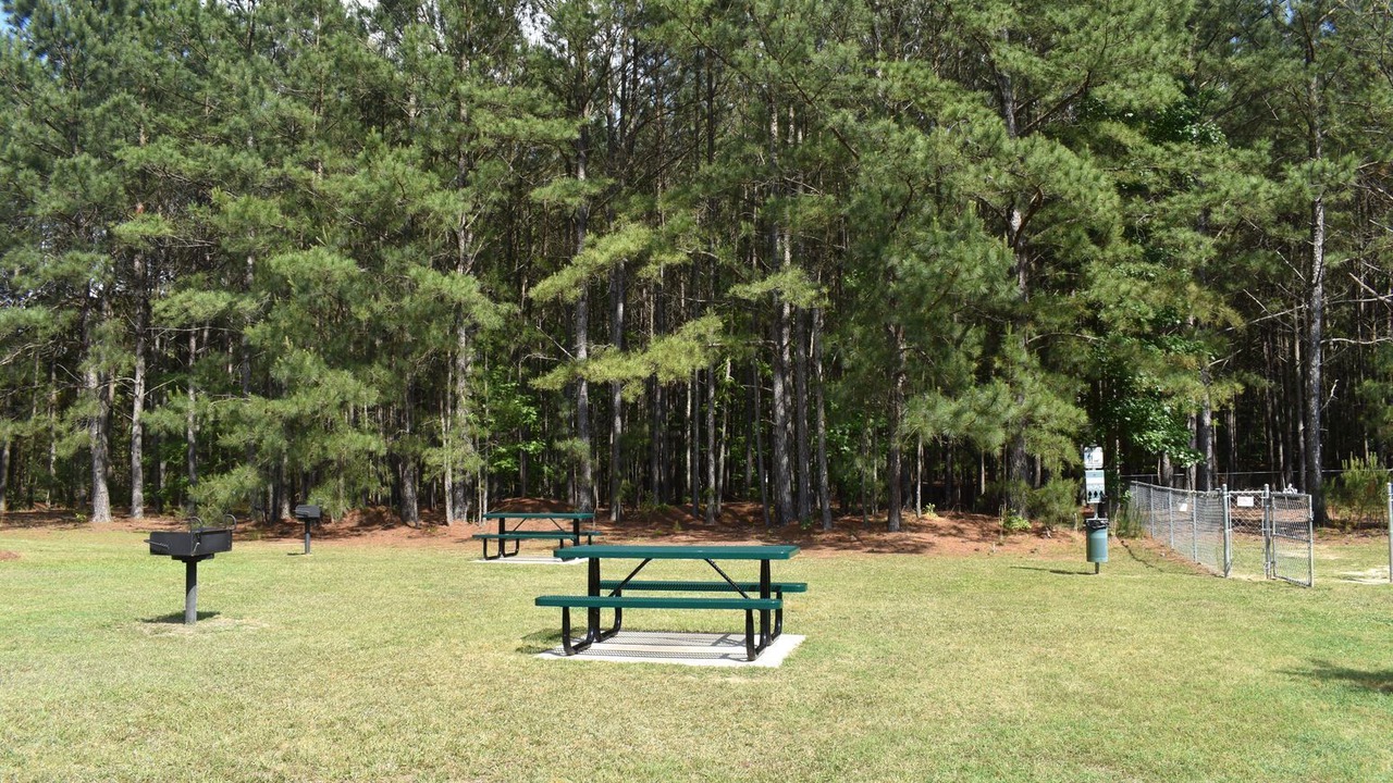 Photo of Outdoor in Buies Creek