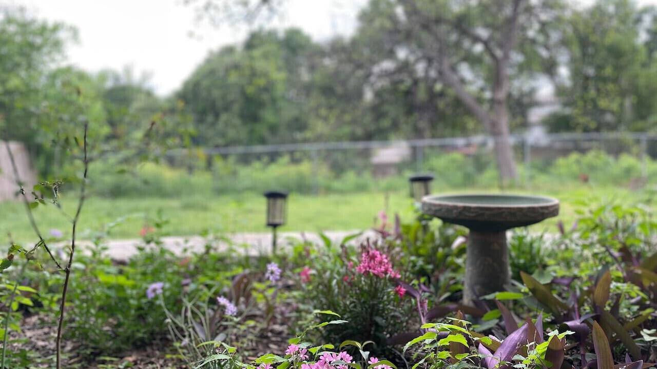 Photo of Outdoor in Georgian Acres