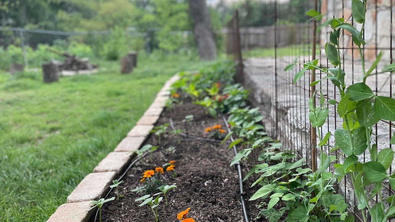 Photo of Outdoor in Georgian Acres