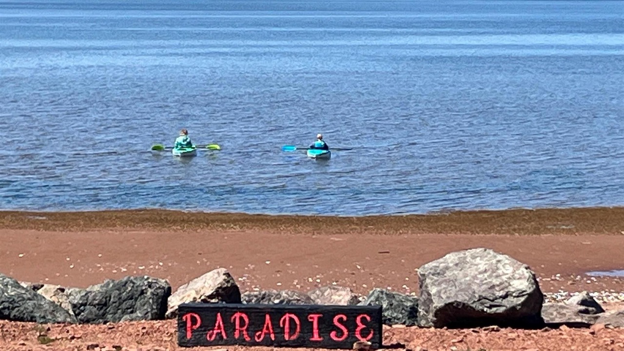 Photo of Others in Summerside