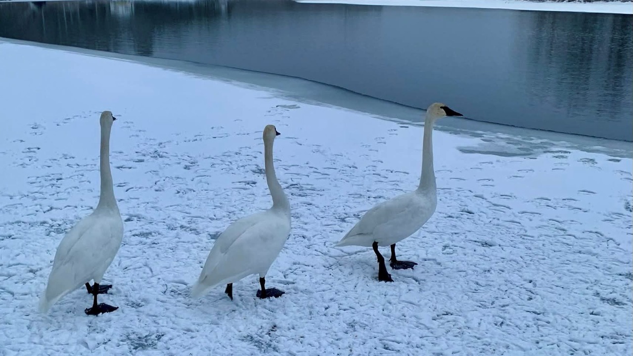 Photo of Others in Marmora