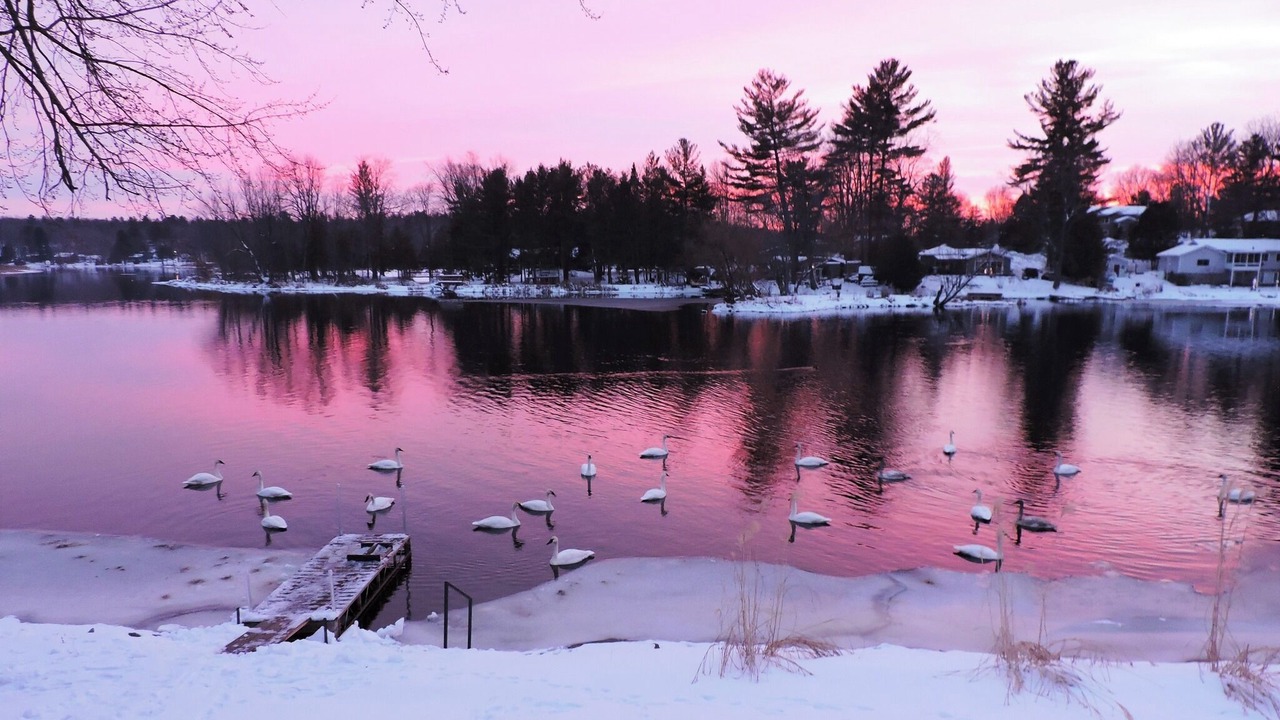 Photo of Others in Marmora