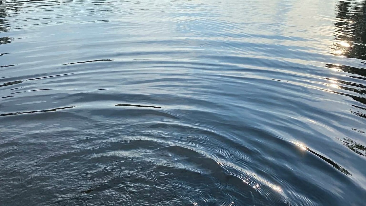 Photo of Others in Marmora