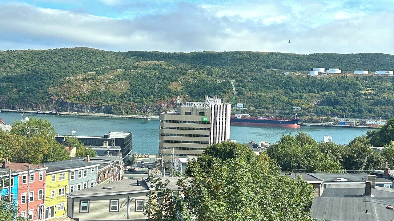 Photo of Others in Downtown St. John's