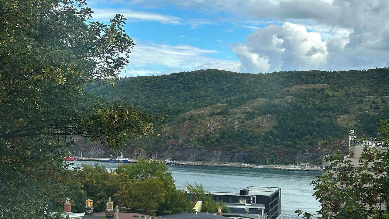 Photo of Others in Downtown St. John's